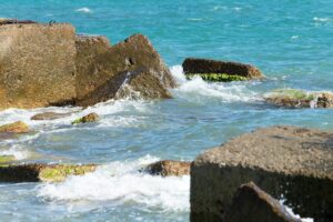 Read more about the article How Artificial Coral Reefs Protect Our Oceans